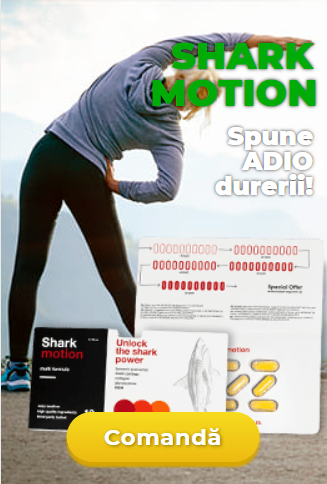 shark motion comanda